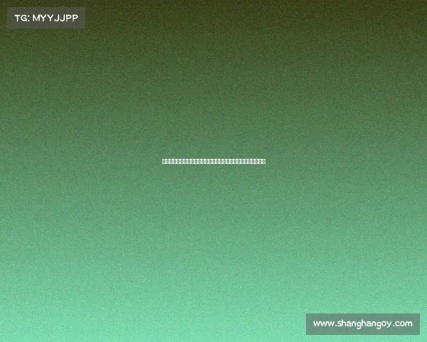 足球文化的传承与发展：从草根到职业的全球影响与本土特色探索